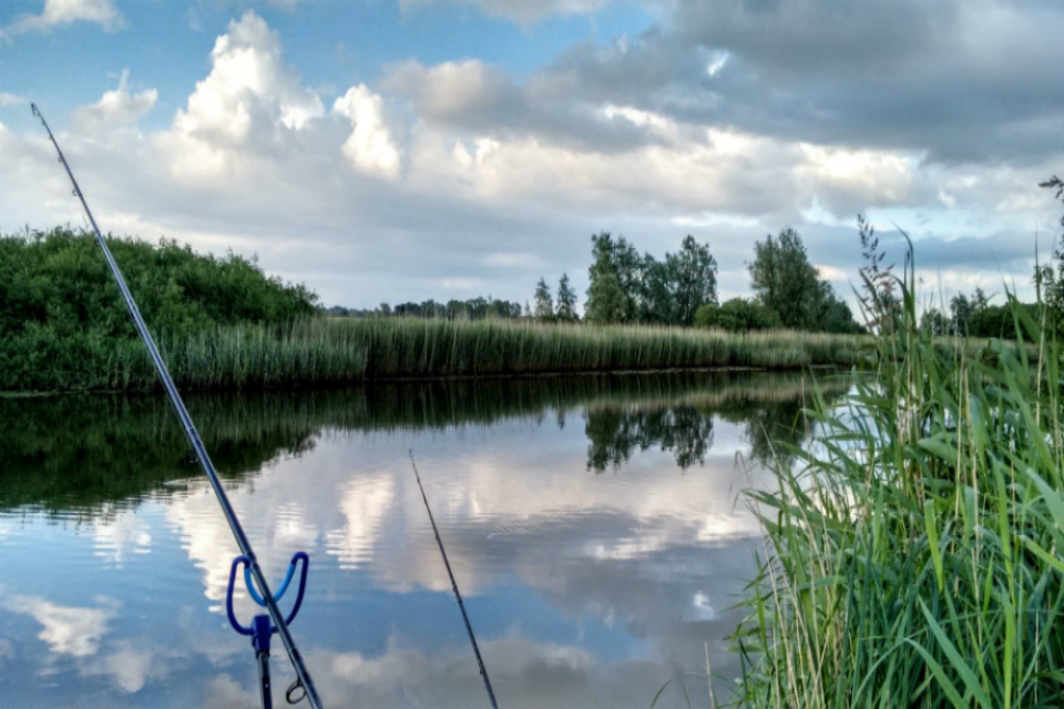 Anglers reminded close season runs from 15 March to 15 June