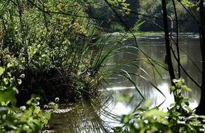 The Water Environment Grant scheme will help improve the English water environment