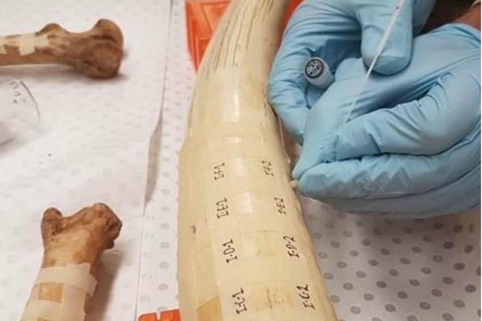 Forensics network develops better detection methods