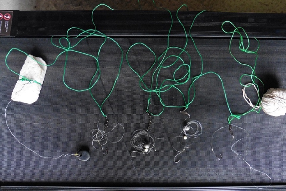 North East man fined for illegal fishing