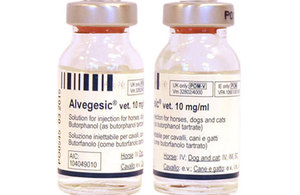 Alvegesic