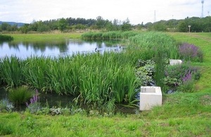 Lamesley mine water treatment scheme