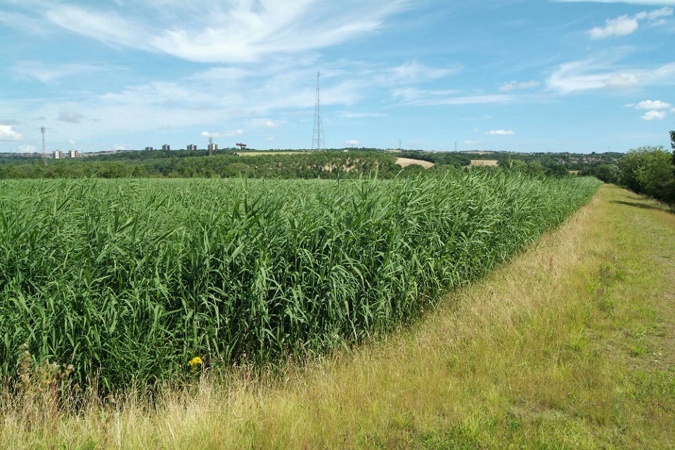 Lamesley mine water treatment scheme