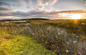 A picture of Black hill in the Peak District National Park with a peat bog