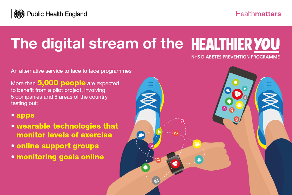 Infographic describing the digital stream of the NHS Diabetes Prevention Programme