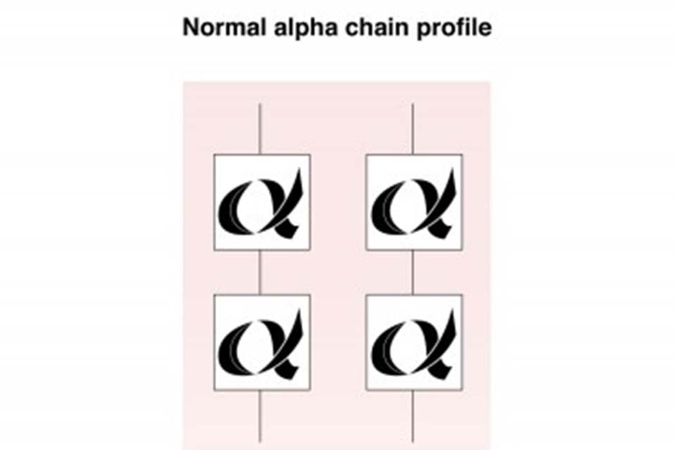 Structure of normal haemoglobin A alpha globin chains