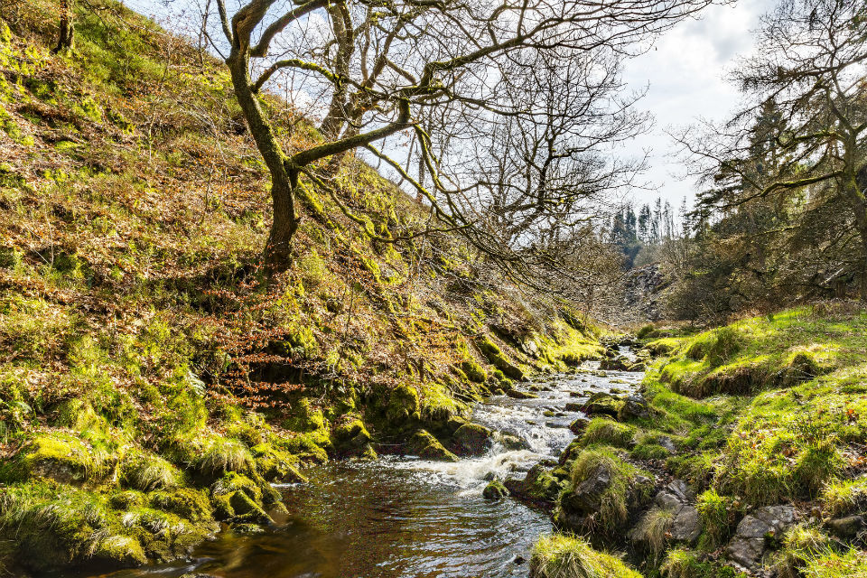 Environment Agency calls for action on water efficiency
