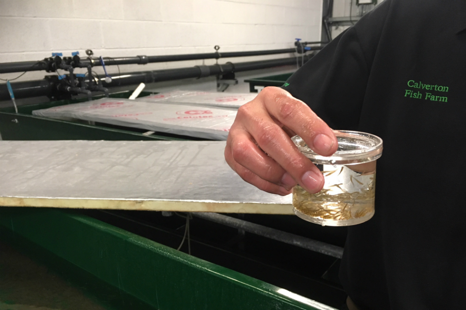 Environment Agency kick starts River Witham recovery