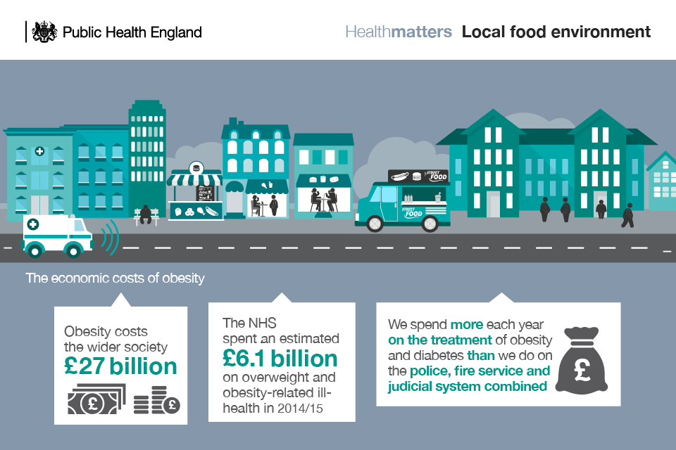 Infographic showing the economic costs of obesity