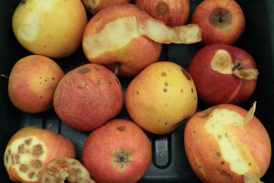 Fruit retailer fined after failing to meet marketing standards