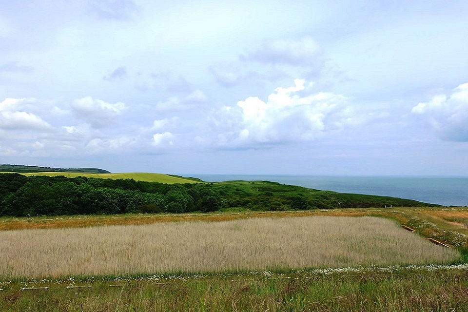 Horden mine water treatment scheme