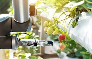 Robotic strawberry picker