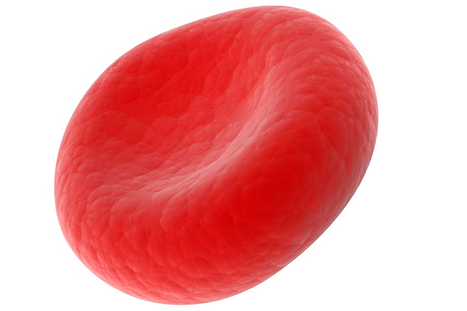 Normal red blood cell