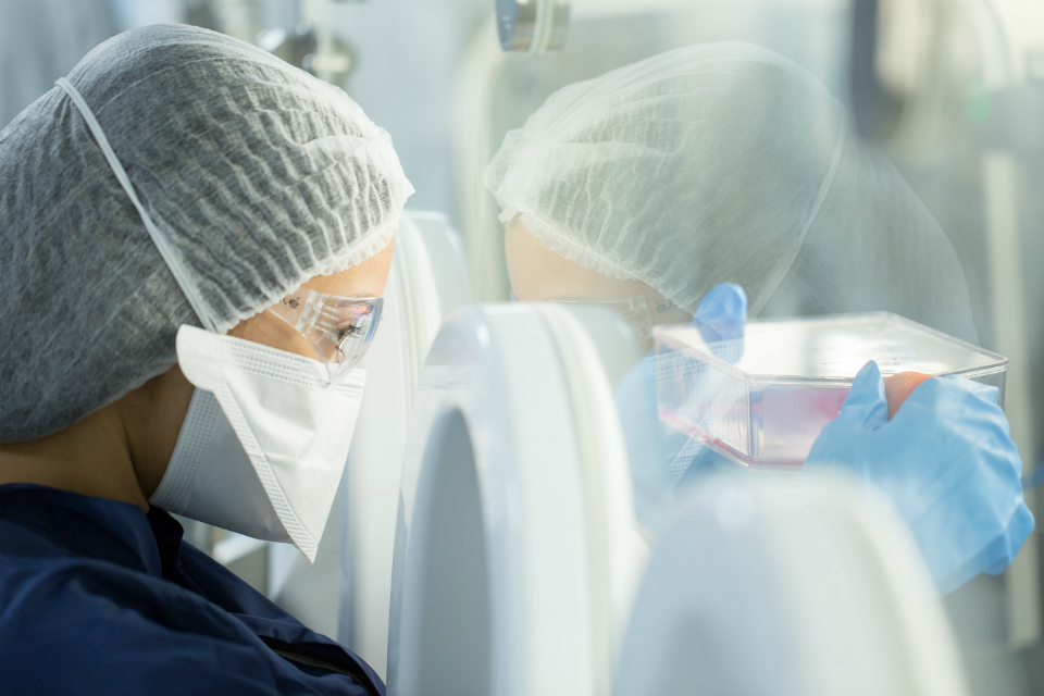 Evaluating new medical technologies: apply for business funding