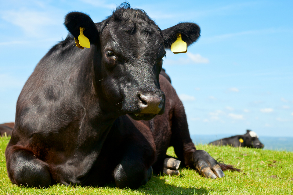 Agreement signs development of new livestock traceability service