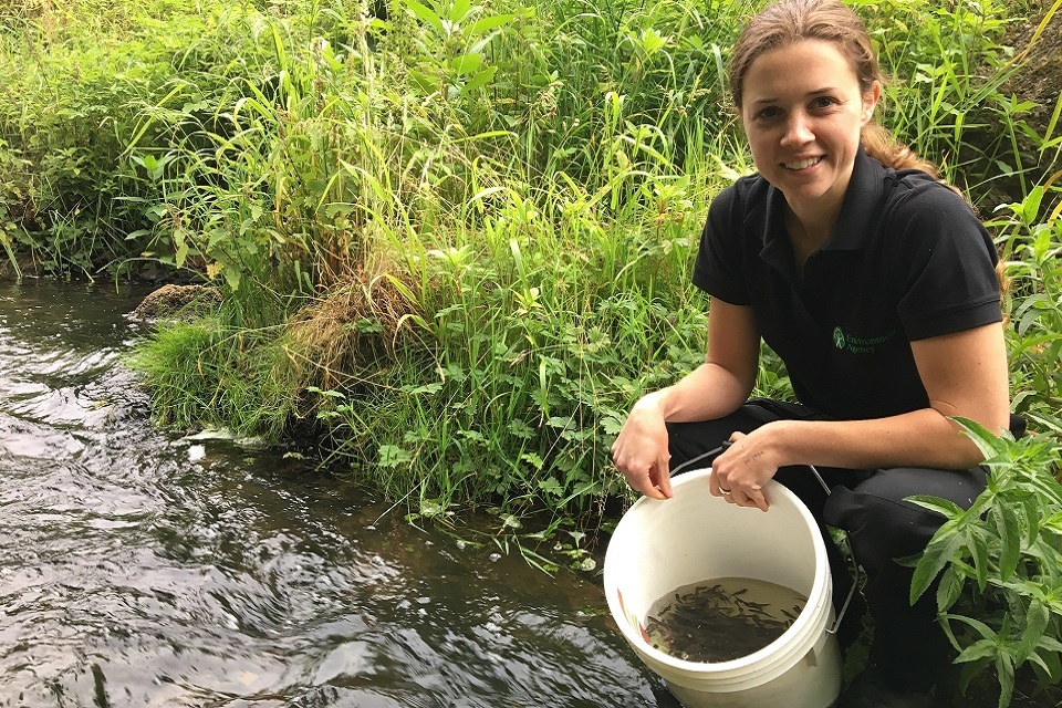 Fish released to boost North East rivers