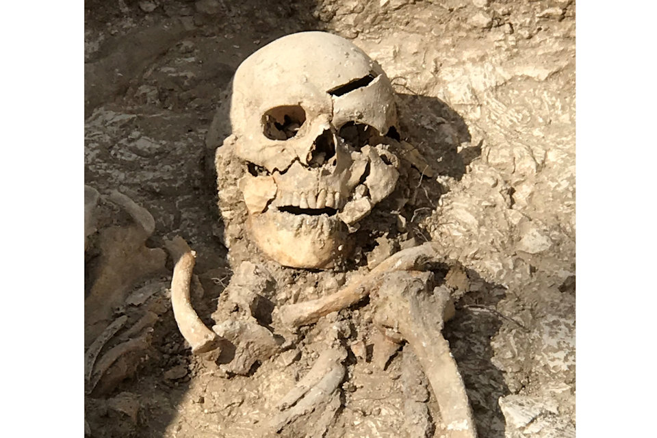 Skull excavated at Barrow Clump in Salisbury Plain. Photo: Crown Copyright 2018