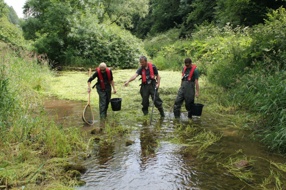 Dry weather update – 17th July 2018