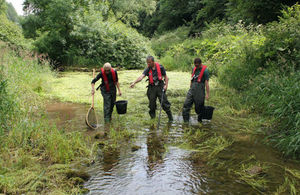 Fish rescue