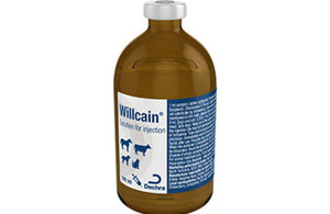 Willcain