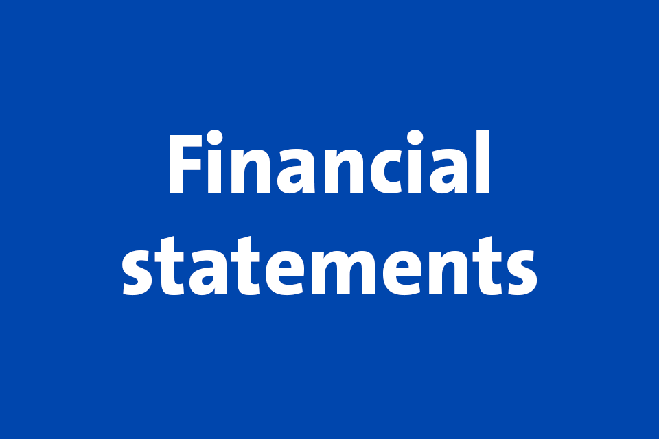 Financial statement