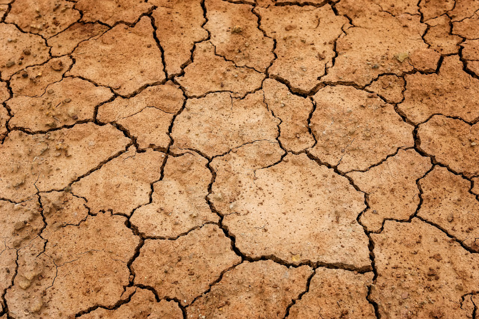 Environment Agency responds to impacts of dry weather