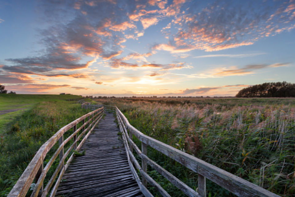 £45 million investment in rural broadband