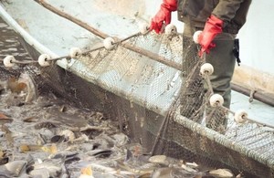 Man fishing with net