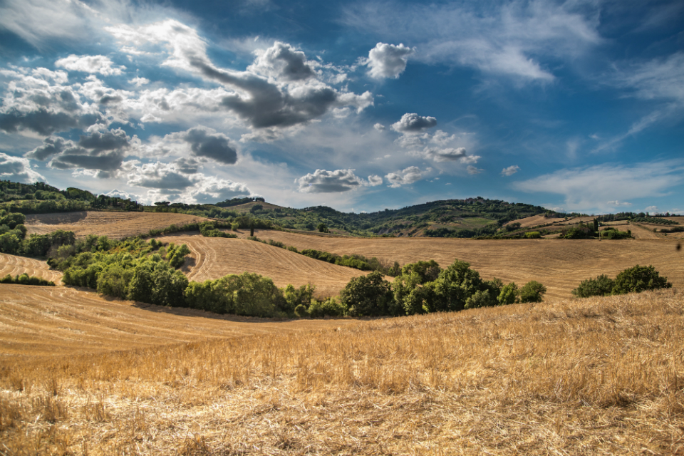 Environment Agency announces support for farmers during dry weather