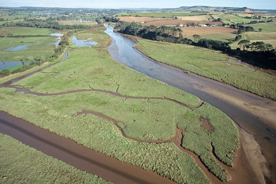 Lower Otter Restoration Project now applying for funding
