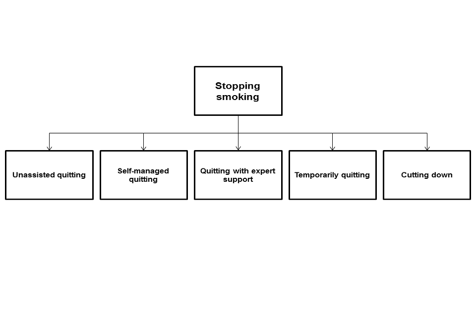 The different available options for stopping smoking.