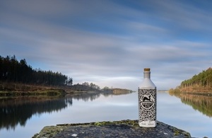 Picture of Forest Gin bottle in front of lake.