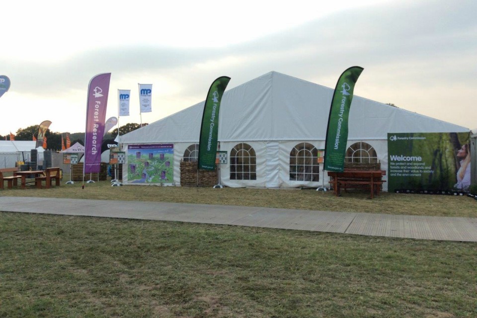 Celebrating 100 years of forestry at the UK’s biggest forestry show