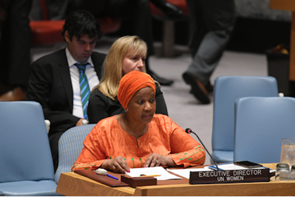 UN Security Council briefing on Somalia (UN Photo)
