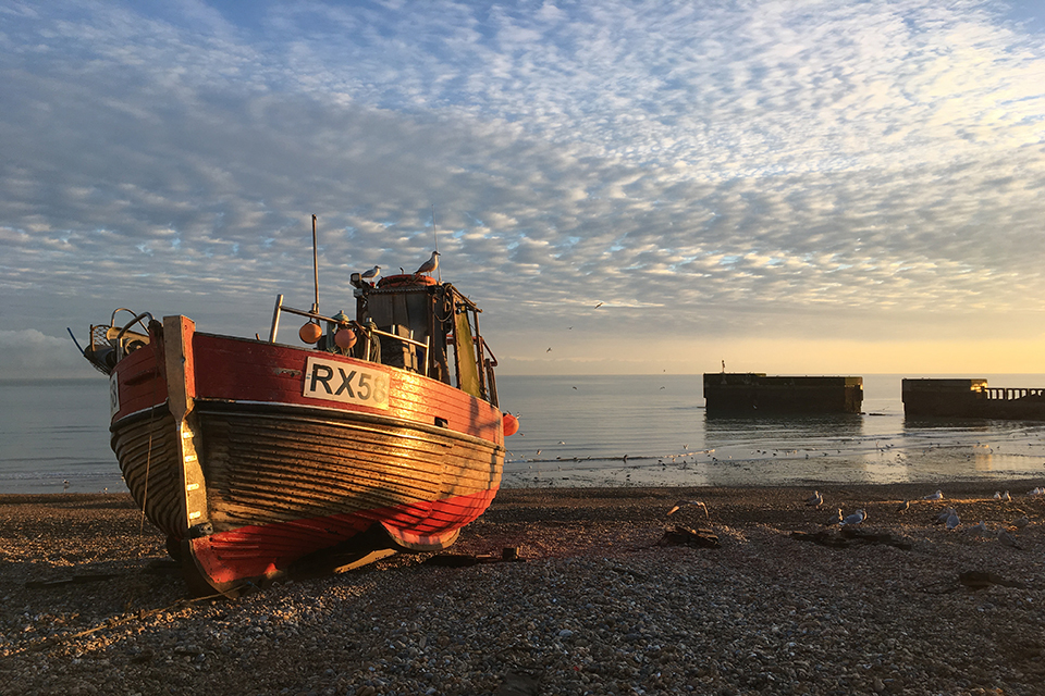 Fishing industry in 2017 statistics published