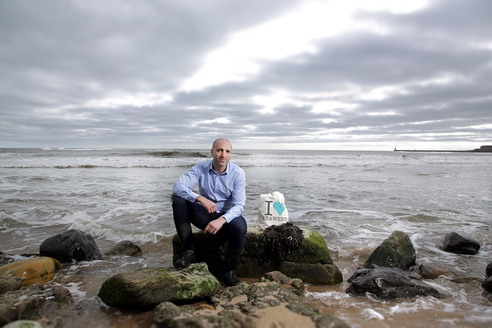 Whitley Bay seaweed business eyes new international markets - GOV.UK