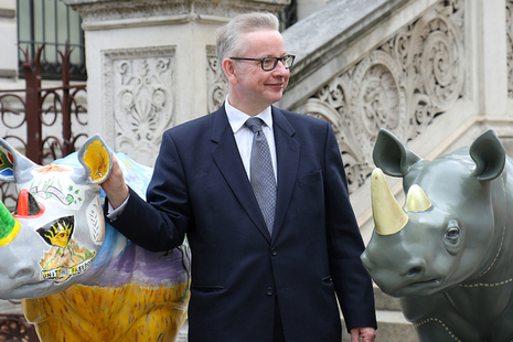 Environment Secretary, Michael Gove