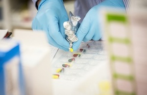 Doctor putting pills into boxes