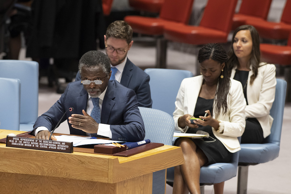 UN Security Council briefing on the Central African Republic (UN Photo)