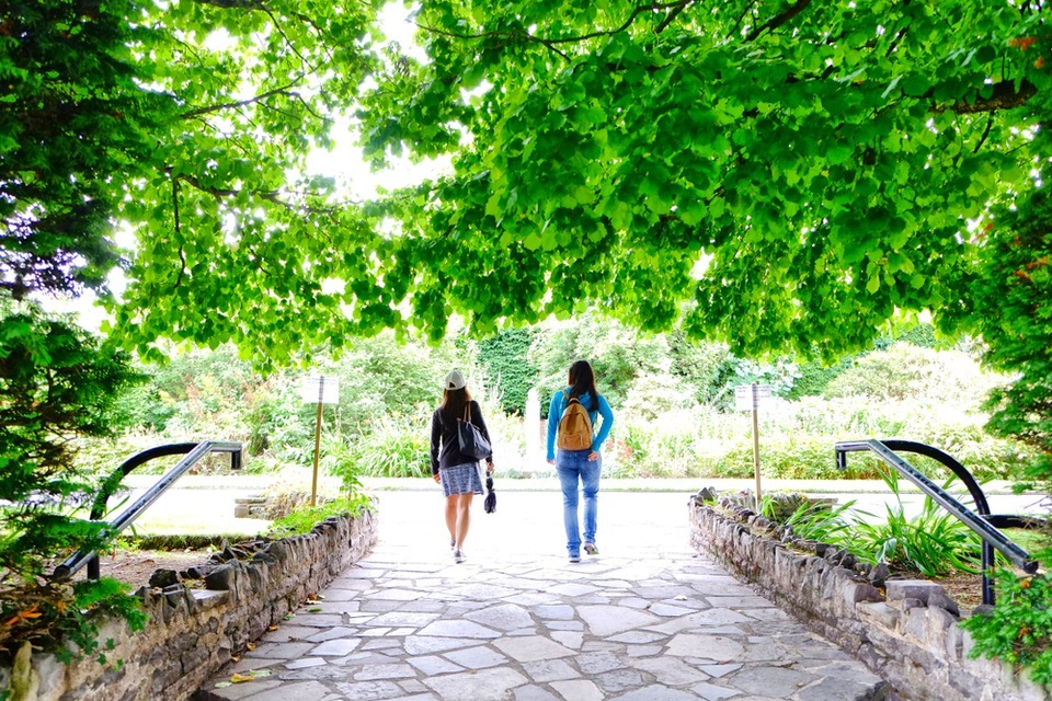 Smart technology for public parks and spaces: apply for contracts
