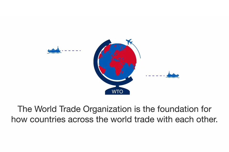 An infographic detailing the role of the World Trade Organisation