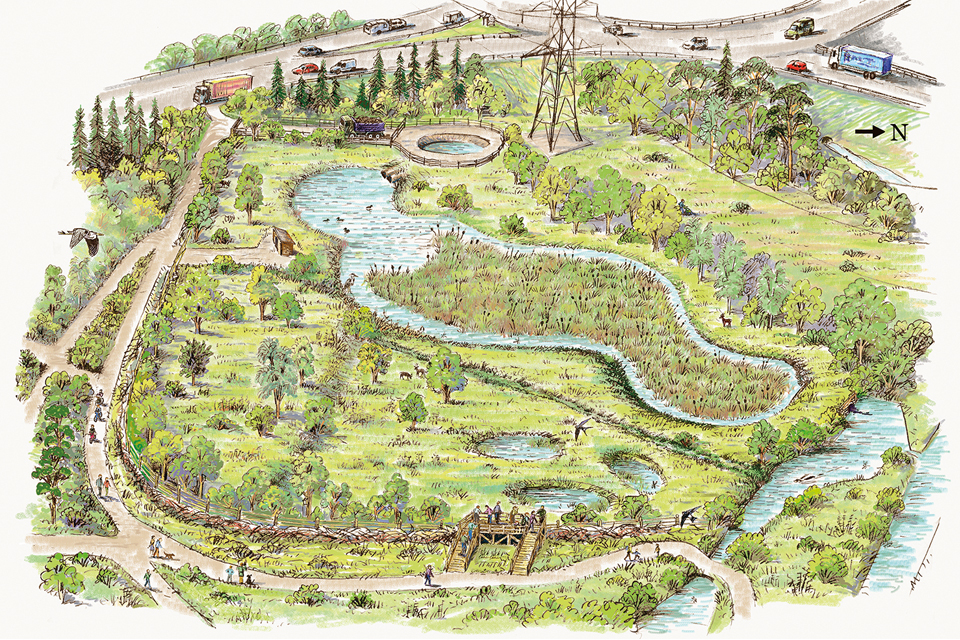 Diagram showing plans for Stover Lake reedbeds