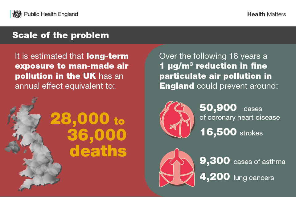 Infographic on the scale of the problem with air pollution