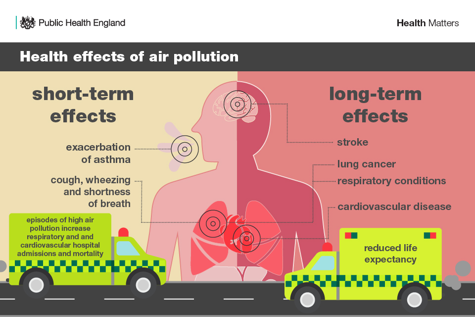 Infographic on health effects of air pollution