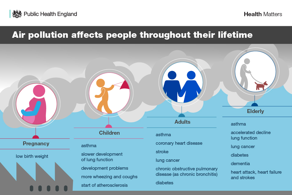 Infographic showing how air pollution affects people through their lifetime