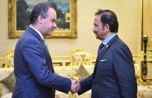 UK Trade Envoy meets His Majesty The Sultan of Brunei
