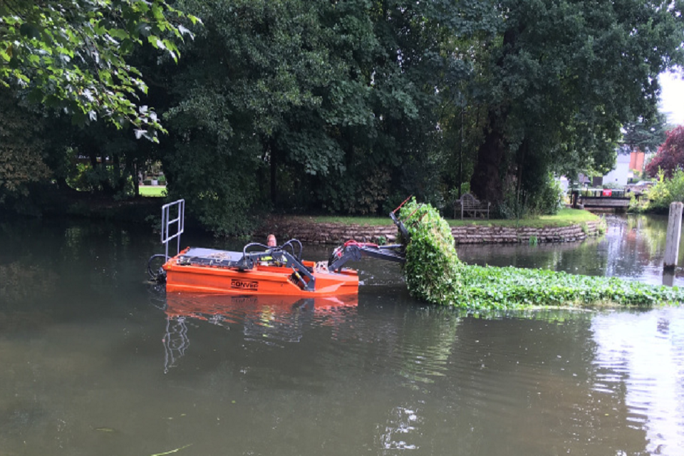 Keep an eye out for floating pennywort this winter