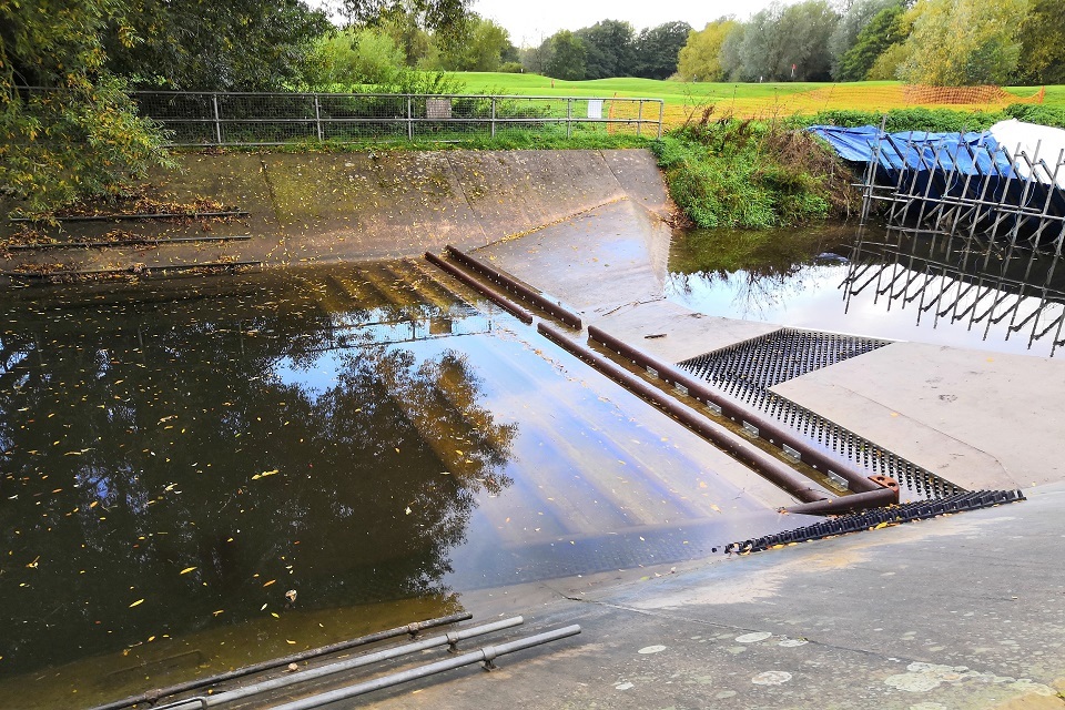 Helping fish and eels along their journey