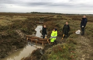 Colne saltmarsh restoration