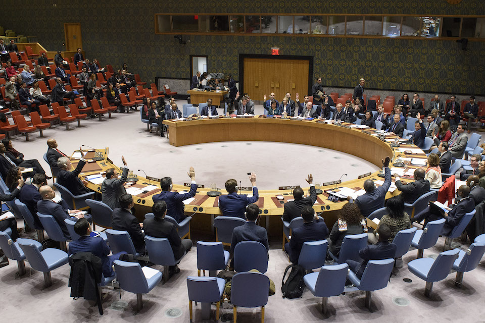 Security Council adopts resolution to lift sanctions on Eritrea (UN Photo)